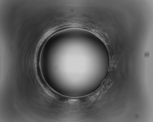 X0000098110055200804041354
