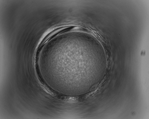 X0000098110056200804041354