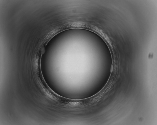 X0000098110057200804041354