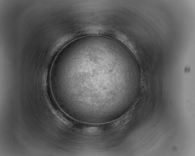 X0000098110058200804041354