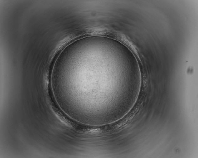 X0000098110059200804041354
