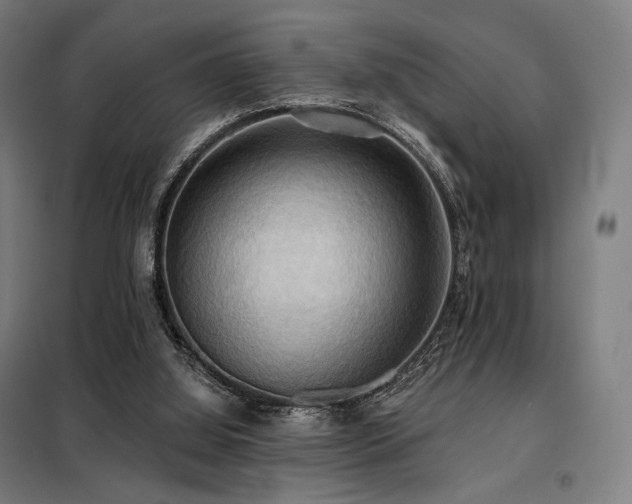 X0000098110060200804041354