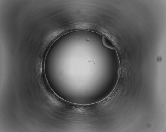 X0000098110062200804041354