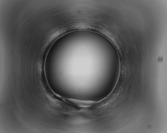 X0000098110063200804041354