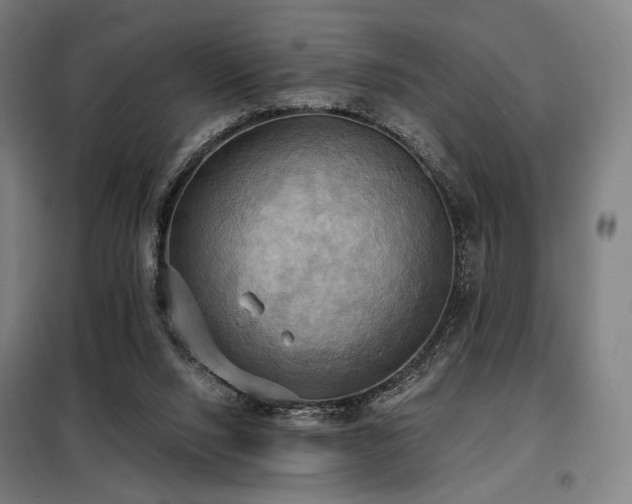 X0000098110064200804041354