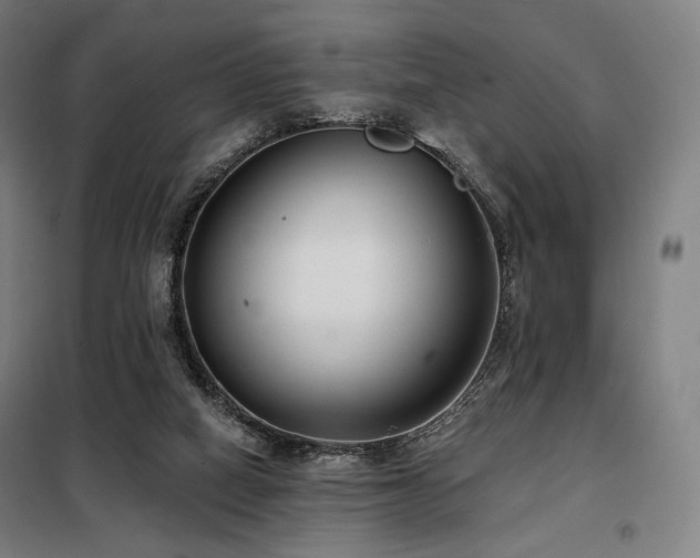 X0000098110066200804041354