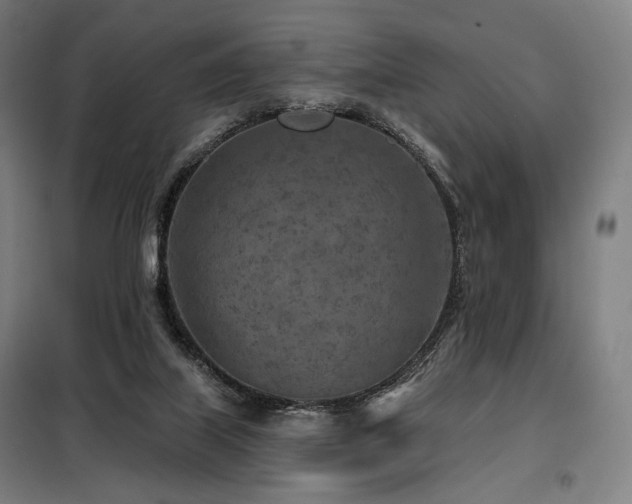 X0000098110067200804041354