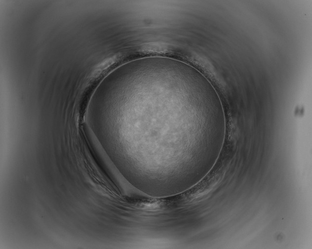 X0000098110068200804041354