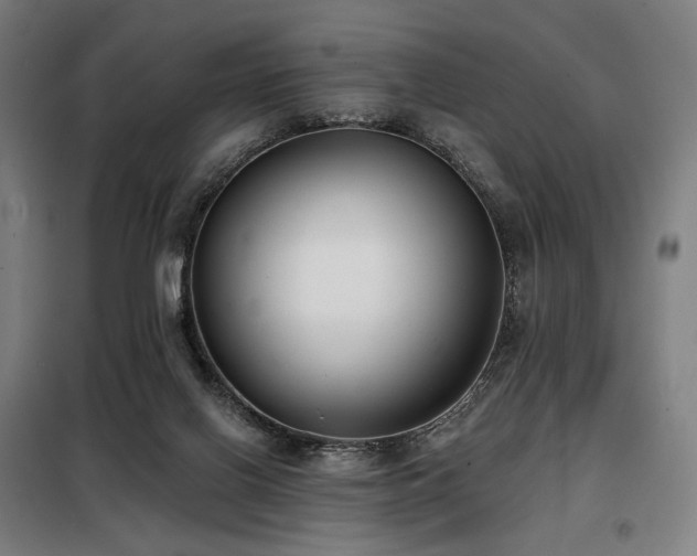 X0000098110070200804041354