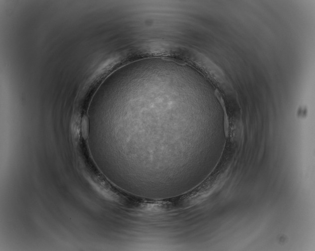 X0000098110072200804041354