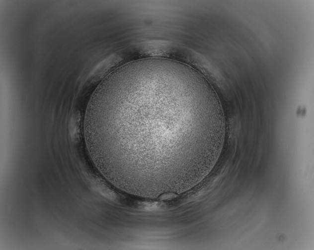 X0000098110073200804041354