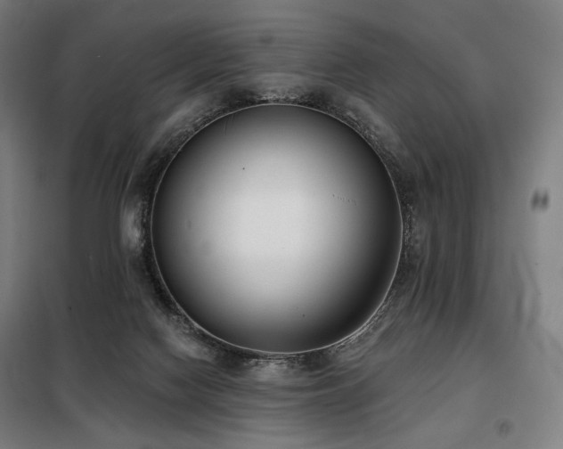 X0000098110074200804041354
