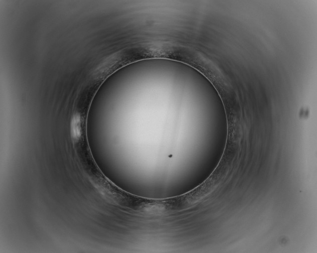 X0000098110075200804041354