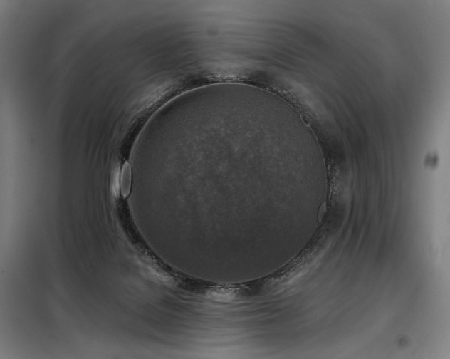 X0000098110076200804041354