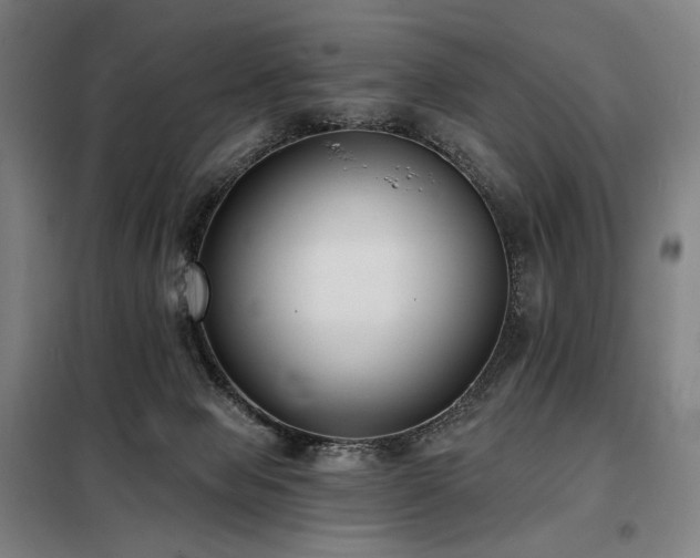X0000098110077200804041354