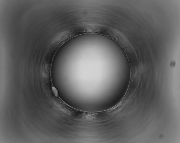 X0000098110078200804041354