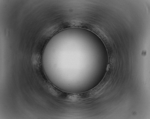 X0000098110079200804041354