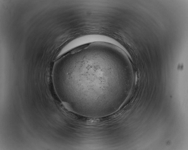 X0000098110080200804041354