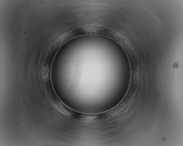 X0000098110081200804041354