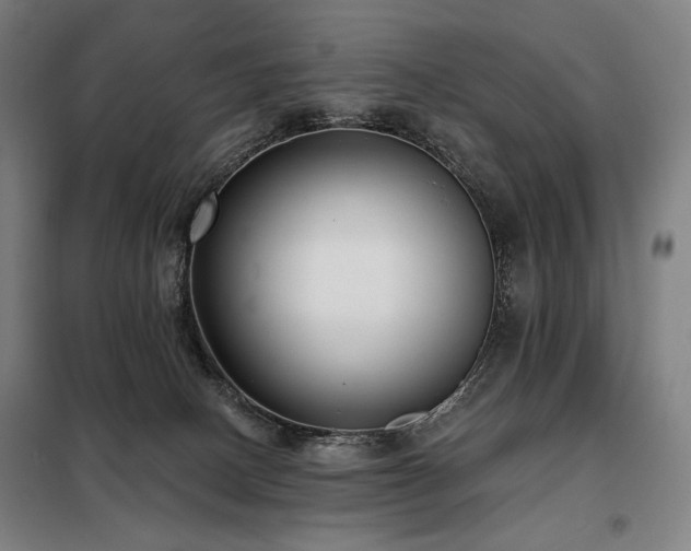 X0000098110082200804041354