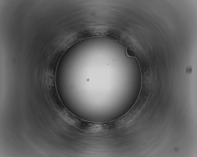X0000098110083200804041354