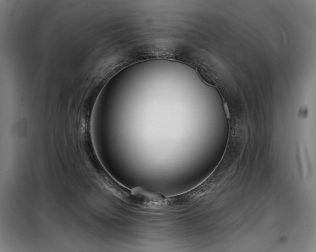 X0000098110084200804041354