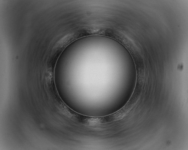 X0000098110085200804041354