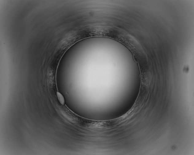 X0000098110086200804041354