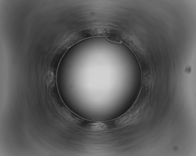 X0000098110087200804041354