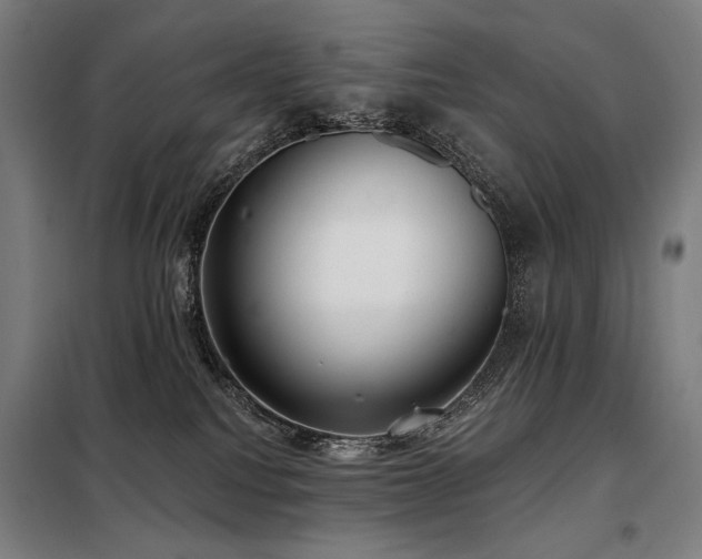 X0000098110088200804041354