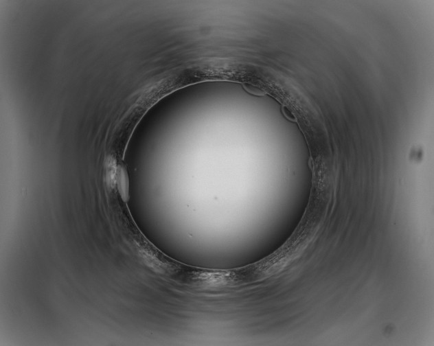 X0000098110089200804041354