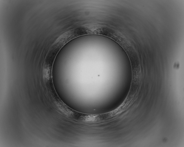 X0000098110090200804041354
