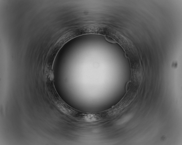X0000098110091200804041354