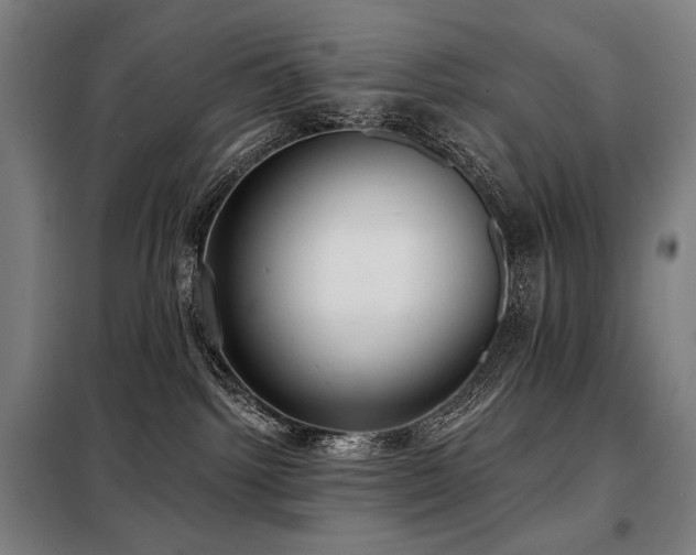 X0000098110092200804041354