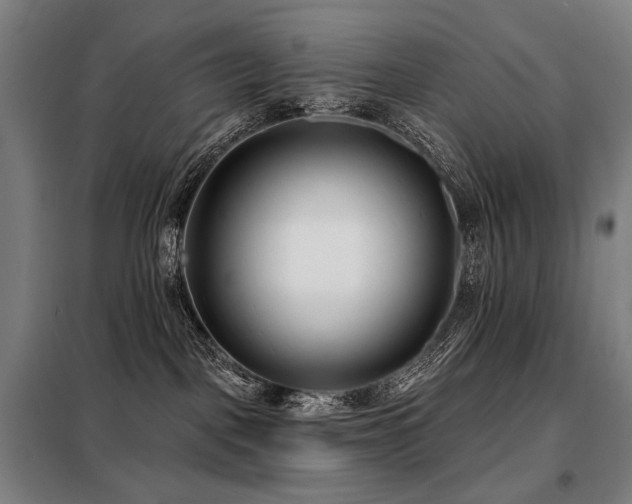 X0000098110093200804041354