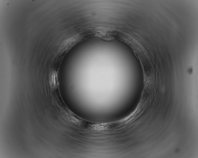 X0000098110094200804041354