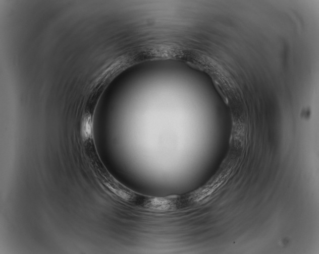 X0000098110095200804041354