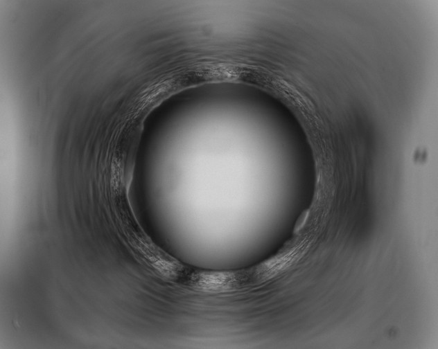 X0000098110096200804041354