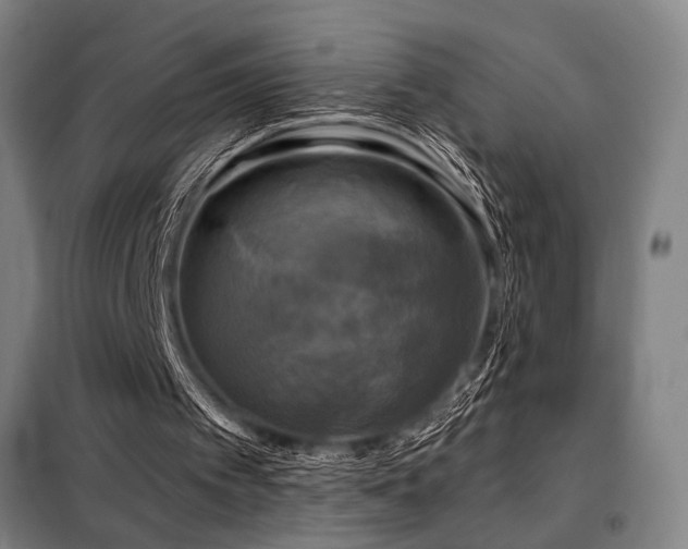 X0000098110097200804041354