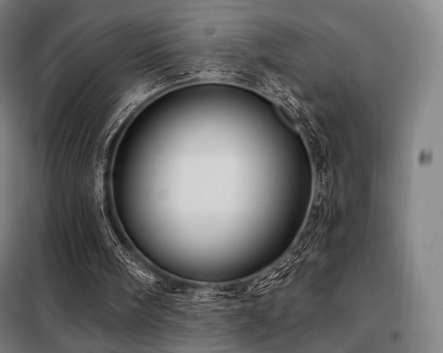 X0000098110098200804041354