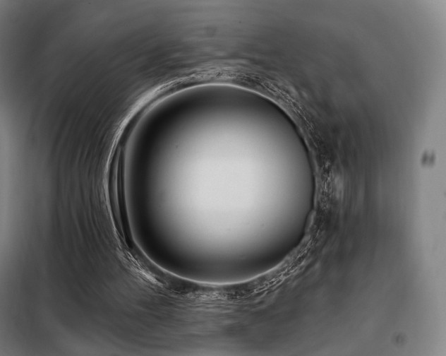 X0000098110100200804041354