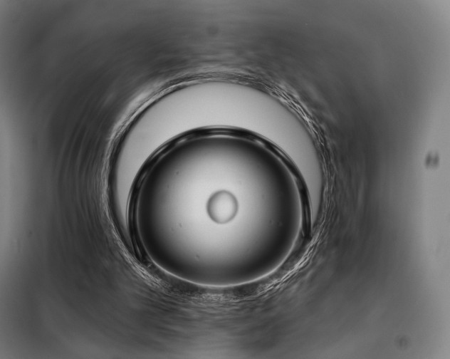 X0000098110101200804041354