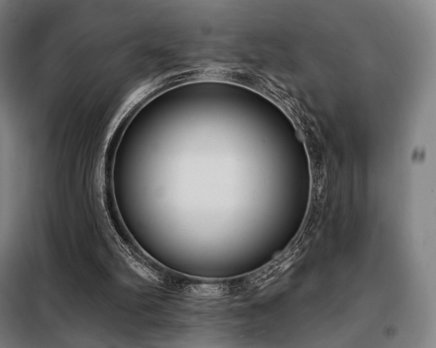X0000098110102200804041354