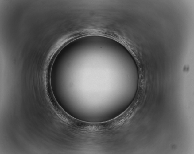X0000098110103200804041353