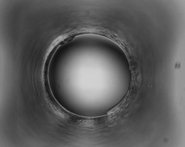 X0000098110104200804041353