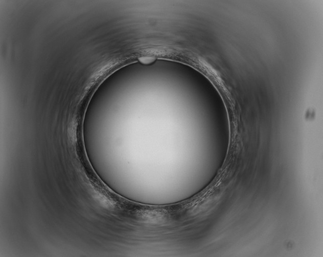 X0000098110106200804041353