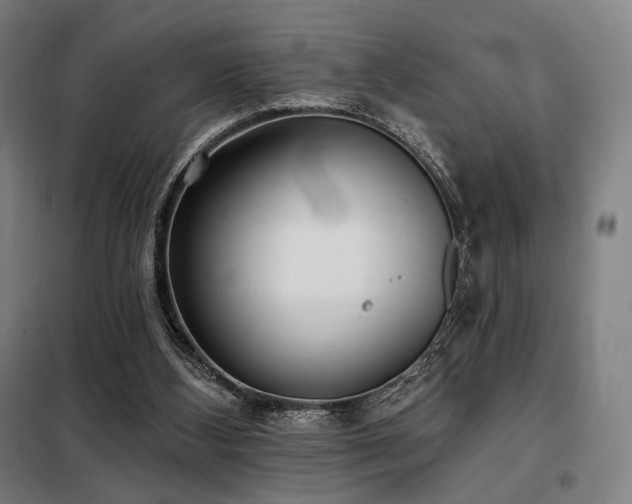 X0000098110108200804041353