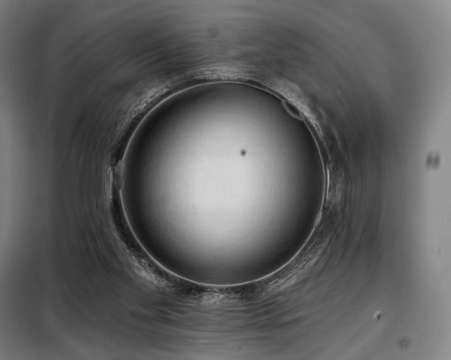 X0000098110109200804041353