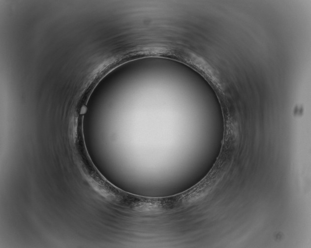 X0000098110110200804041353