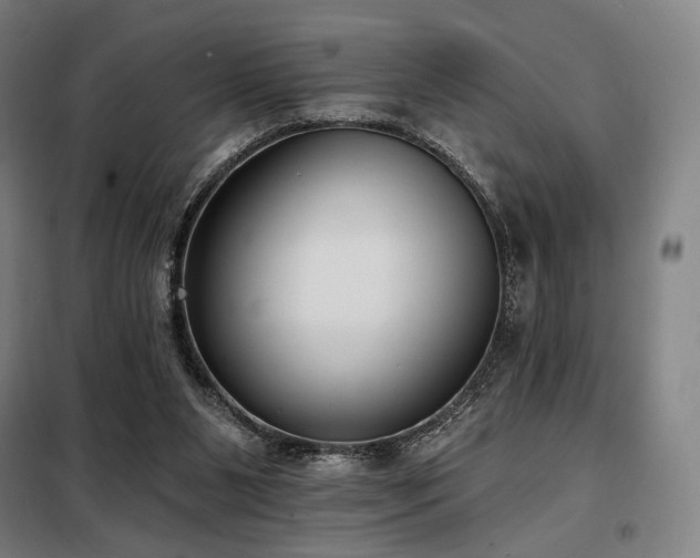 X0000098110111200804041353